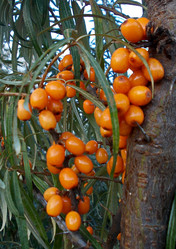 Similar image 5502521