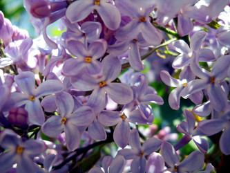 Similar image 5502523