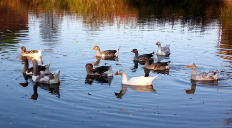 Similar image 5502524