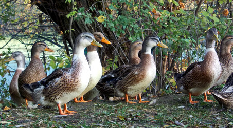 Similar image 5502526