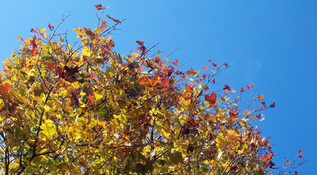 Similar image 5502528