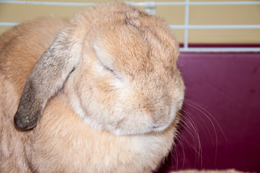 Similar image 5502531