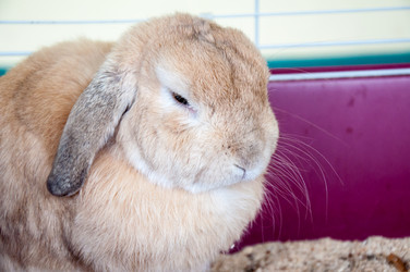 Similar image 5502532