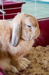 Similar image 5502535