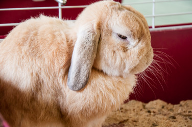 Similar image 5502536