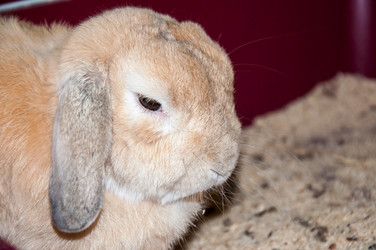 Similar image 5502538