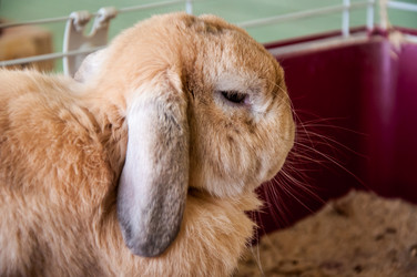 Similar image 5502539