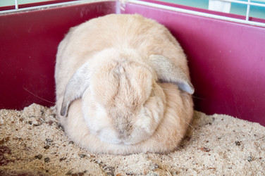 Similar image 5502540