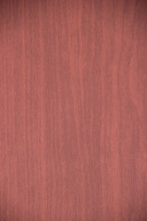 Similar image 5502833