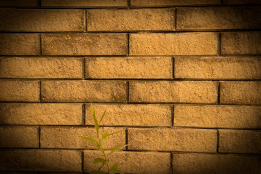 Similar image 5502913