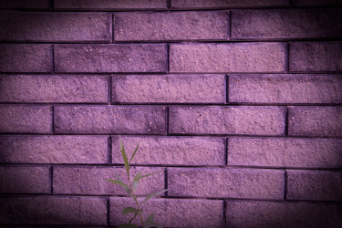 Similar image 5502923