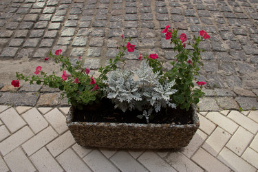 Similar image 5502927