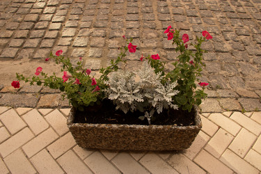 Similar image 5502928