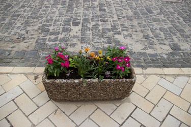 Similar image 5502929