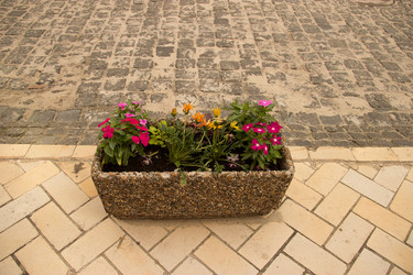 Similar image 5502930