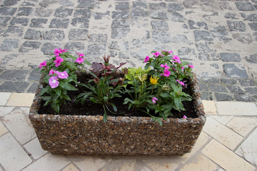 Similar image 5502933