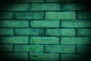 Similar image 5502936