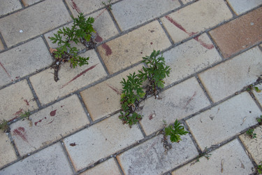 Similar image 5502937