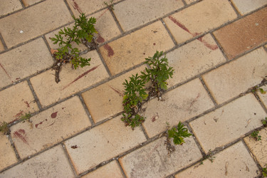 Similar image 5502938