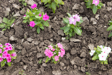 Similar image 5502940