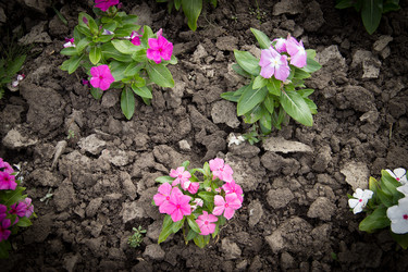 Similar image 5502942