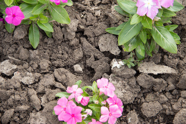 Similar image 5502945