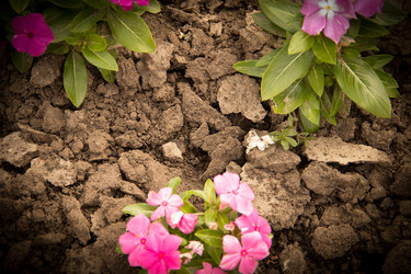 Similar image 5502949