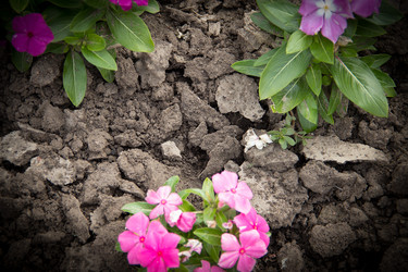 Similar image 5502950