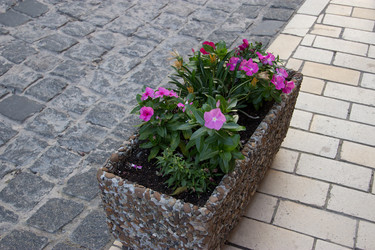 Similar image 5502951