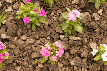 Similar image 5502955