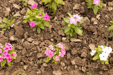 Similar image 5502956