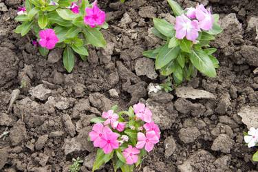 Similar image 5502959