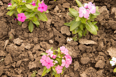 Similar image 5502960