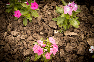 Similar image 5502961