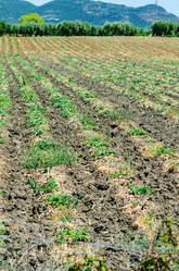 Similar image 5503017