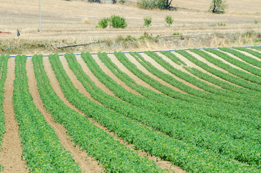 Similar image 5503020