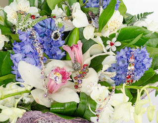 Similar image 5503057