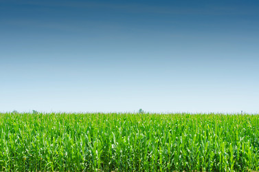 Similar image 5503068