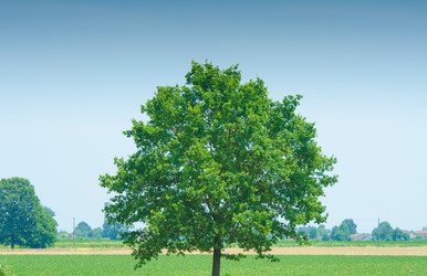 Similar image 5503069