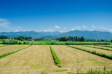 Similar image 5503075