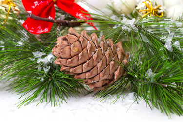 Similar image 5503097