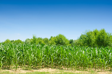 Similar image 5503256