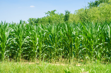 Similar image 5503258