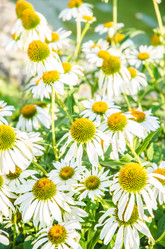 Similar image 5503271