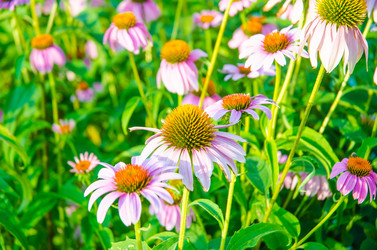 Similar image 5503272