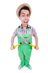 Similar image 5503373