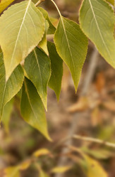 Similar image 5503516