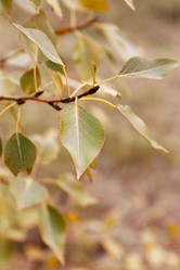 Similar image 5503517