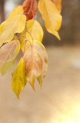 Similar image 5503518