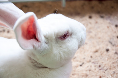 Similar image 5503519